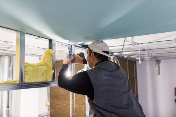 Best Insulation Removal  in Ashburn, VA