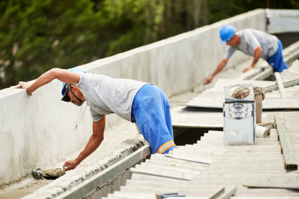 Best Insulation Removal  in Ashburn, VA