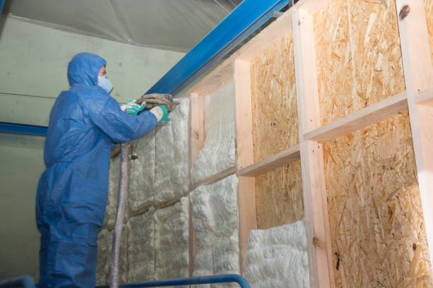 Best Residential Insulation Services  in Ashburn, VA
